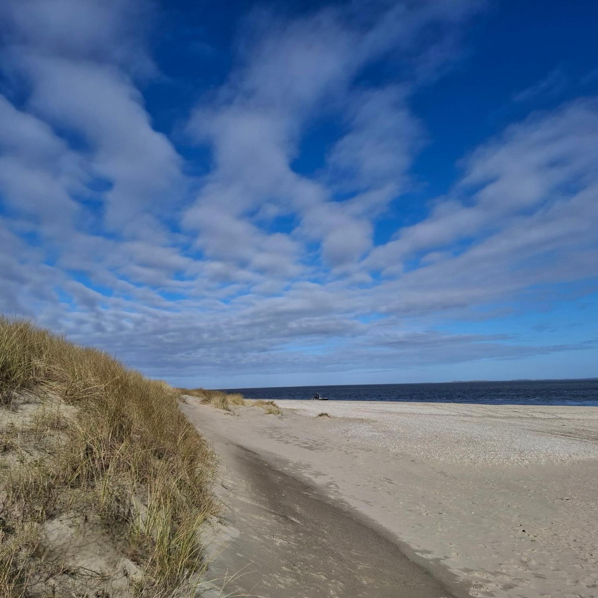 Private Logies Texel Woodart Midden-Eierland Extérieur photo