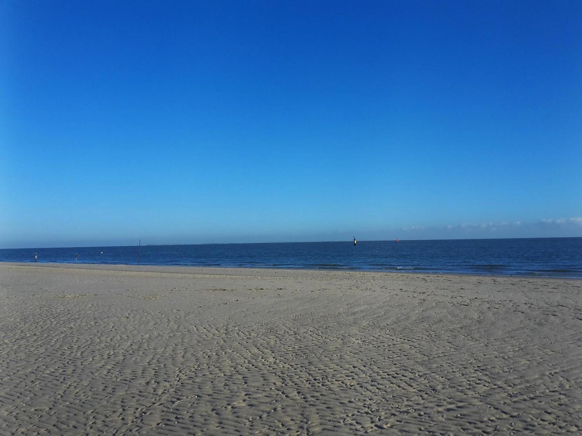 Private Logies Texel Woodart Midden-Eierland Extérieur photo